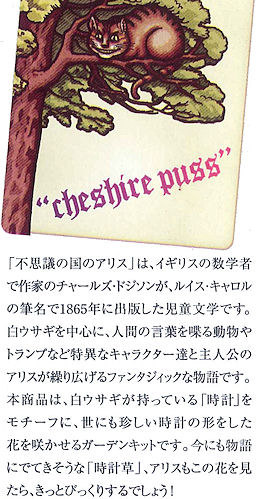 �s�v�c�̍��̃A���X