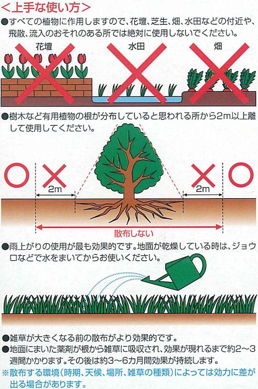 �G�������͂炵�܂��F�U�b�\�[�W�G�[�X
