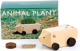 Hedgehog�~Grass,Trim as you like!�E�A�j�}���v�����c