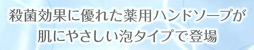 �������̋Ɩ��p�T�C�Y�E�Ɩ��p��p�A�t�F�[�X���n���h�\�[�v�^�n���h�\�[�v