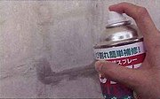 �C���T���N���b�N�V���b�g���Ђъ���ɓh�z