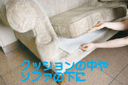 ����@�ۂŃ_�j�̔ɐB��h���E�_�j�T���V�[�g