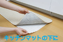 ����@�ۂŃ_�j�̔ɐB��h���E�_�j�T���V�[�g