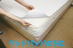 ����@�ۂŃ_�j�̔ɐB��h���E�_�j�T���V�[�g