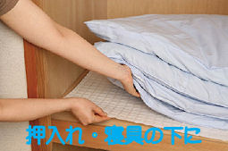 ����@�ۂŃ_�j�̔ɐB��h���E�_�j�T���V�[�g