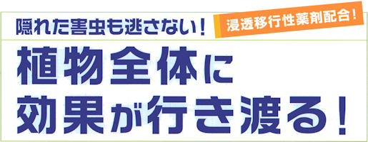 �B��Ă���Ԃ̊Q���쏜�E�A�[�X�K�[�f���b�F�B�ꂽ�Q�����������Ȃ��I�A���S�̂Ɍ��ʂ��s���n��I�Z�����ڍs����ܔz��