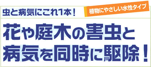 �Ԃ̊Q���쏜�ƕa�C�\�h�E�A�[�X�K�[�f���v�F���ƕa�C�ɂ���P�{�I�Ԃ��؂̊Q���ƕa�C�𓯎��ɋ쏜
