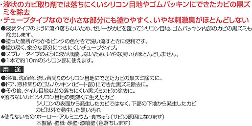 �����������J�r���W�F���E�V���R���p�̓����P