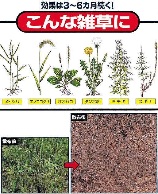 ���s�t���͂炵������}����E�f�e���ގ����܁F���q�V�o�A�G�m�R���O�T�A�I�I�o�R�A�^���|�|�A�����M�A�X�M�i