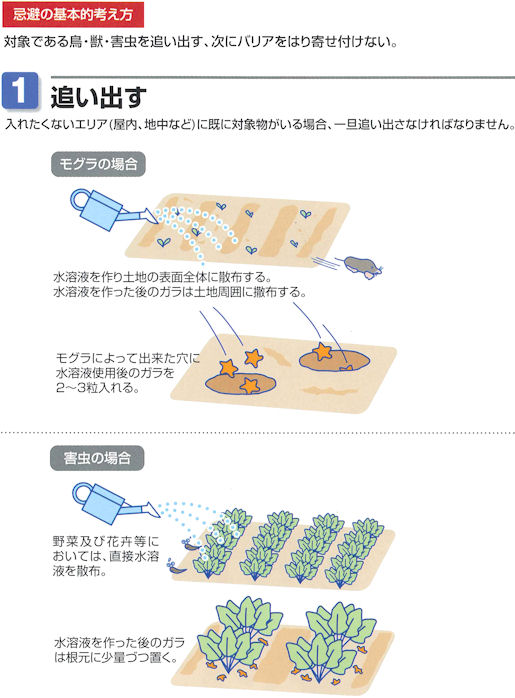 �V�R�q�g�f�ŋ��̓u���b�N�E�C���}�����X�^�[�̎g�p���@