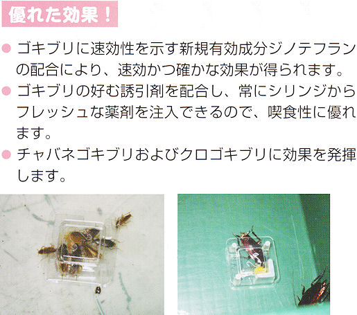 �W�F���^�C�v�̃S�L�u���p�쏜�܁E�~�T�C���W�F���c�F�D�ꂽ����