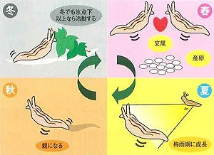 �P�N�������ł���i���N�W�I�F�Ȃ߂����h���C