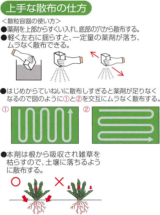 ����X�X�L���͂炷���󏜑��܁E�l�R�\�M�g�b�v���܁F���ȎU�z�̎d��