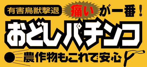 �L�Q���b���ރp�`���R�E���ǂ��p�`���R�F�L�Q���b���ށI�ɂ�����Ԍ��ʃA���I�_�앨������ň��S