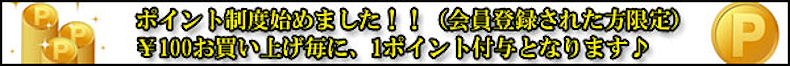 �|�C���g���x�n�߂܂����I�P�O�O�~�������グ�ɂP�|�C���g�t�^�v���܂���F�C�[���C�t