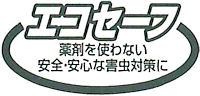 �̂Ȃ���̒�ԔS���n�G���E�n�G�g�����{��