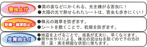�L�@�͔|�ɋ��������V�[�g�E���悯������炢�炸�̐��i����