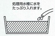�����p�����ɐ��������Ղ����܂��F�V�^�l�Y�~�ߊl��