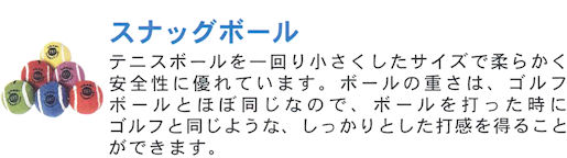 �S���t�̊�{�Z�p���y�����������w�ׂ�E�X�i�b�O�S���t�F�X�i�b�O�{�[��