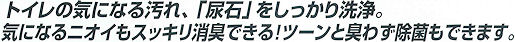 �Ɩ��p�g�C�����b�N�̓���