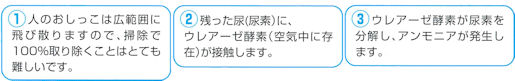 �g�C���̏��L�Ɩh�L�������ɂł���E�g�C���̏��L�E�h�L�܁F�j�I�C�����̃��J�j�Y��