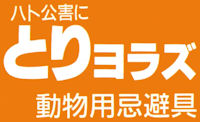 �n�g�⃀�N�h���悯�ʋl�E�Ƃ胈���Y