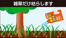 �G�������͂炵�܂��F�U�b�\�[�W�G�[�X