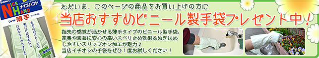 ただいま、このページの商品をお買い上げの方に、当店おすすめビニール製手袋プレゼントキャンペーン中！
