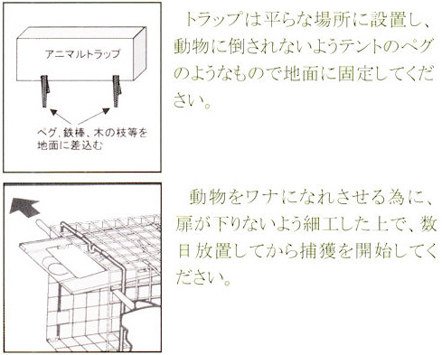 アニマルトラップ MODEL1092　使用方法　[害獣、対策、アライグマ、ハクビシン、ヌートリア、小動物捕獲]