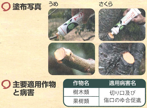 トップジンＭペースト　使用方法　［園芸、ガーデニング、亀裂、切り口、雨水・雑菌を防ぐ、感染阻止］