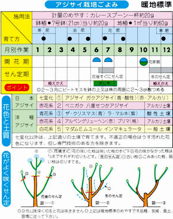 青花専用アジサイ専用肥料　使用方法　［園芸、ガーデニング、紫陽花（あじさい・アジサイ）、肥料、青花専用］