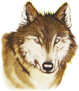 ウルフピー シートタイプ　製品特徴３　[犬（いぬ・イヌ）、猫（ねこ・ネコ）、小動物、鹿、イノシシ（猪）、動物よけシート]