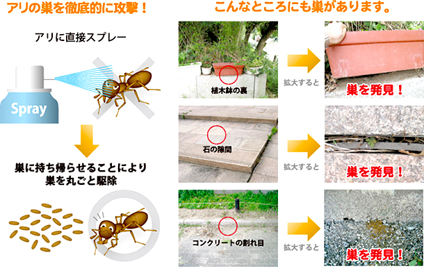 アリキックベイト　使用方法２　［害虫駆除、退治、対策、アリ（蟻）、アルゼンチンアリ、クロアリ］