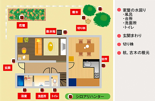 シロアリハンター 使用方法３ [シロアリ（白アリ・白蟻）、害虫駆除、退治、対策、簡単、予防、忌避]