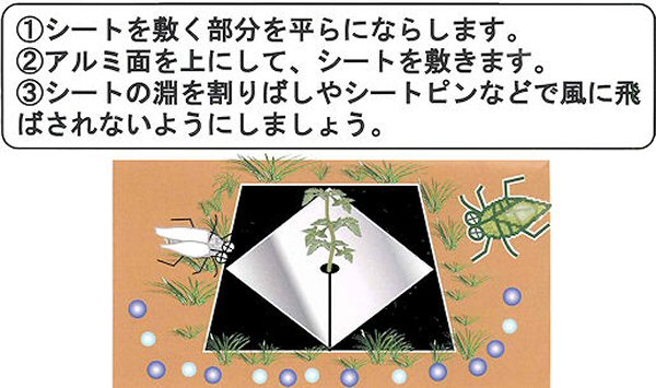 虫よけしきわらいらず　使用方法３　［害虫対策、駆除、方法、、アブラムシ、コナジラミ］